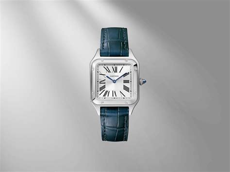 watch brands cartier|affordable cartier watches.